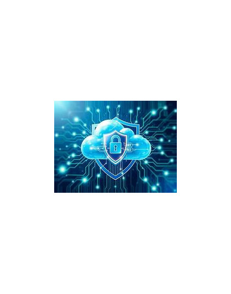 SEGURIDAD EN LA NUBE