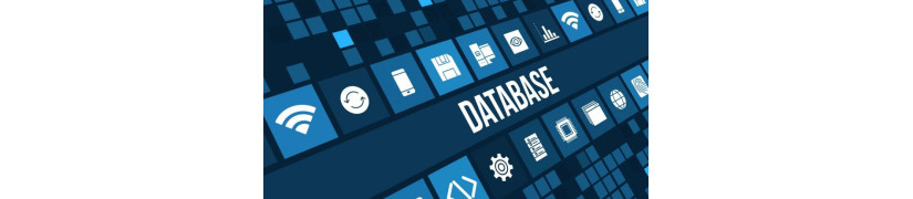 Bases de Datos