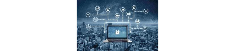 Seguridad en las redes